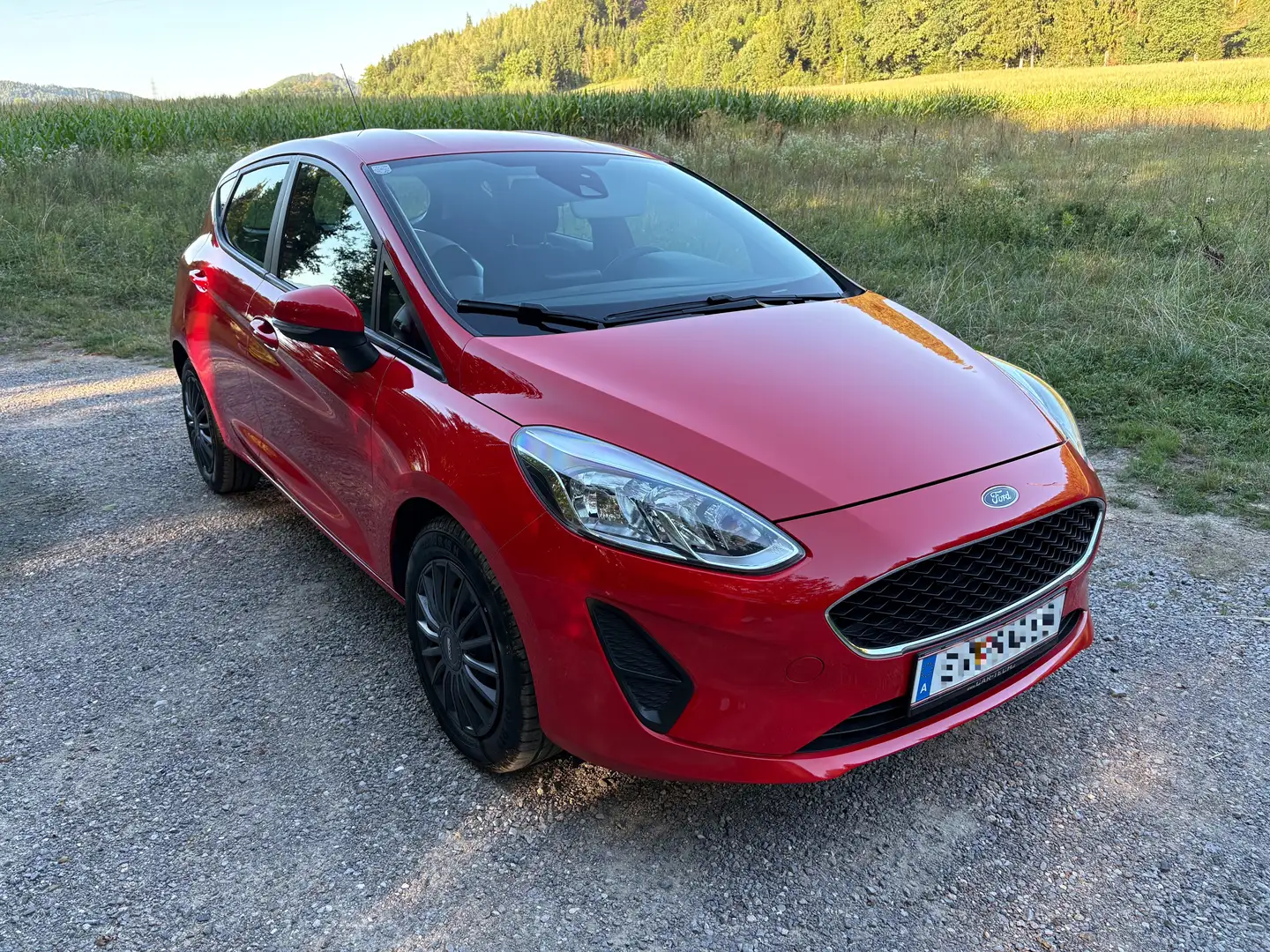 Ford Fiesta Fiesta Trend 1,1 Start/Stop Trend Rot - 2