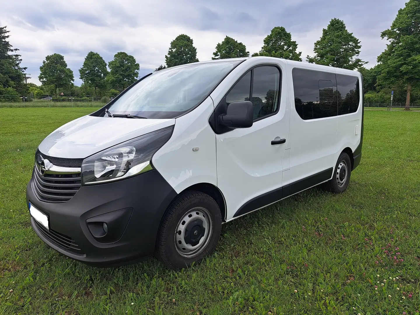 Opel Vivaro Vivaro 1.6 D L1H1 S - 2