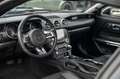 Ford Mustang 3,7 GT 500 SHELBY ANDROID Schwarz - thumbnail 19