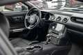 Ford Mustang 3,7 GT 500 SHELBY ANDROID Schwarz - thumbnail 20