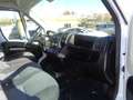 Fiat Ducato 2.3mjt 120cv PM-TM Blanc - thumbnail 15