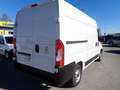 Fiat Ducato 2.3mjt 120cv PM-TM Blanc - thumbnail 6