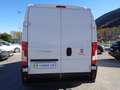 Fiat Ducato 2.3mjt 120cv PM-TM Blanc - thumbnail 7