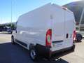 Fiat Ducato 2.3mjt 120cv PM-TM Blanc - thumbnail 8