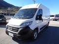Fiat Ducato 2.3mjt 120cv PM-TM Blanc - thumbnail 3