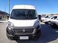 Fiat Ducato 2.3mjt 120cv PM-TM Blanc - thumbnail 2