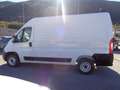 Fiat Ducato 2.3mjt 120cv PM-TM Blanc - thumbnail 5