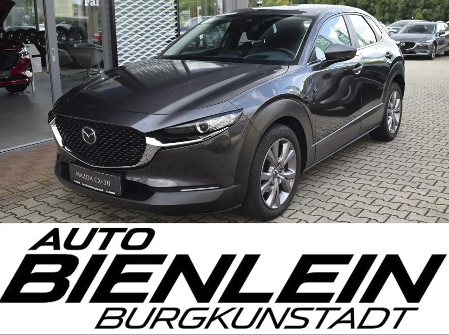 Mazda CX-30 2.0 150PS Selection Kamera AHK Voll-LED Navi uvm. Grau - 1