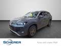 Volkswagen Tayron 2,0 TDI 4MOTION DSG AHK/RFK/7Sitze/NAVI/L Grau - thumbnail 1