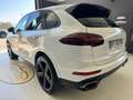 Porsche Cayenne 3.0 Diesel Platinum Edition Bianco - thumbnail 6