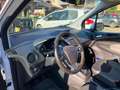 Ford Tourneo Courier Titanium Blanc - thumbnail 11
