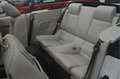 Ford Mustang USA 4.0 V6 CABRIO // 80.000 km // LEDER // AIRCO / Blanc - thumbnail 8