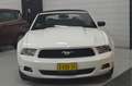 Ford Mustang USA 4.0 V6 CABRIO // 80.000 km // LEDER // AIRCO / Blanc - thumbnail 22