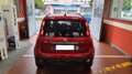 Fiat Panda Panda 1.0 FireFly S&S Hybrid Pandina Cross Rosso - thumbnail 5