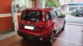 Fiat Panda Panda 1.0 FireFly S&S Hybrid Pandina Cross Rosso - thumbnail 4