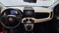 Fiat Panda Panda 1.0 FireFly S&S Hybrid Pandina Cross Rosso - thumbnail 11
