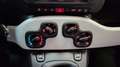 Fiat Panda Panda 1.0 FireFly S&S Hybrid Pandina Cross Rosso - thumbnail 10