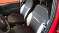 Fiat Panda Panda 1.0 FireFly S&S Hybrid Pandina Cross Rosso - thumbnail 12