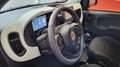 Fiat Panda Panda 1.0 FireFly S&S Hybrid Pandina Cross Rosso - thumbnail 14