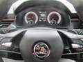 Skoda Kamiq Monte Carlo PANORAMA LED AHK 4xSHZG KAMERA Grijs - thumbnail 8
