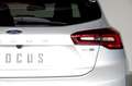 Ford Focus 1.0 ECOBOOST MHEV 92KW ST-LINE 125CV 5P Plateado - thumbnail 11