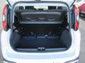 Fiat Panda 4x2 FireFly Hybrid 70 Pandina Weiß - thumbnail 19