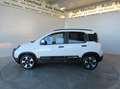 Fiat Panda 4x2 FireFly Hybrid 70 Pandina Weiß - thumbnail 2