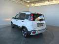 Fiat Panda 4x2 FireFly Hybrid 70 Pandina Weiß - thumbnail 3
