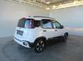 Fiat Panda 4x2 FireFly Hybrid 70 Pandina Weiß - thumbnail 5