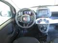 Fiat Panda 4x2 FireFly Hybrid 70 Pandina Weiß - thumbnail 9