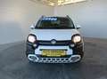 Fiat Panda 4x2 FireFly Hybrid 70 Pandina Weiß - thumbnail 20