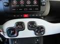 Fiat Panda 4x2 FireFly Hybrid 70 Pandina Weiß - thumbnail 14