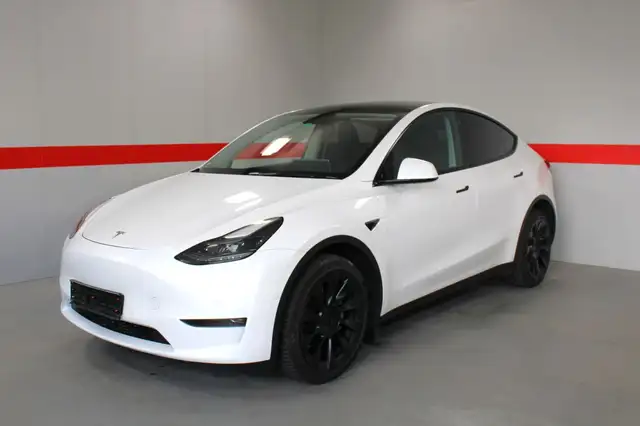 Tesla Sonstige