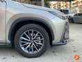 Lexus NX 300h 350h Business City 4WD Gris - thumbnail 18