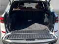 BMW X5 i xDrive M SPORT PRO 21''LC PROF PANORAMA AHK 360° Alb - thumbnail 15