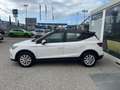 SEAT Arona 1.0 EcoTSI Style Bianco - thumbnail 7