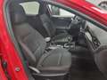 Ford Focus 1.0 EcoBoost Hybrid 125 CV 5p. ST-Line Design Rosso - thumbnail 37