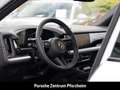 Porsche Cayenne EU6d E-Hybrid Surround-View LED InnoDrive Weiß - thumbnail 15