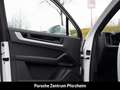 Porsche Cayenne EU6d E-Hybrid Surround-View LED InnoDrive Weiß - thumbnail 19