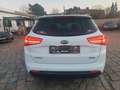 Kia Ceed SW / cee'd SW Ceed Sportswagon Dream Team*SHZ*AHK* Blanc - thumbnail 6