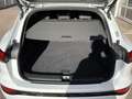 Audi Q6 e-tron performance 225kW S line Pano LED Plus Blanc - thumbnail 16