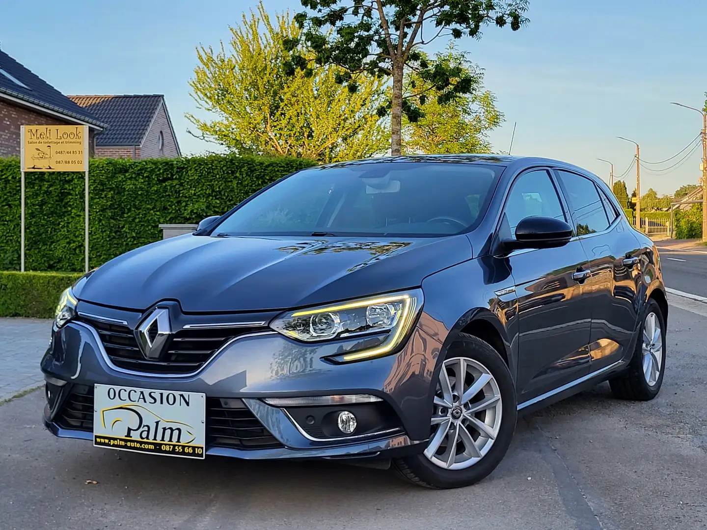 Renault Megane Mégane SW 1.2 TCe Energy Bose Edition EDC Grijs - 1