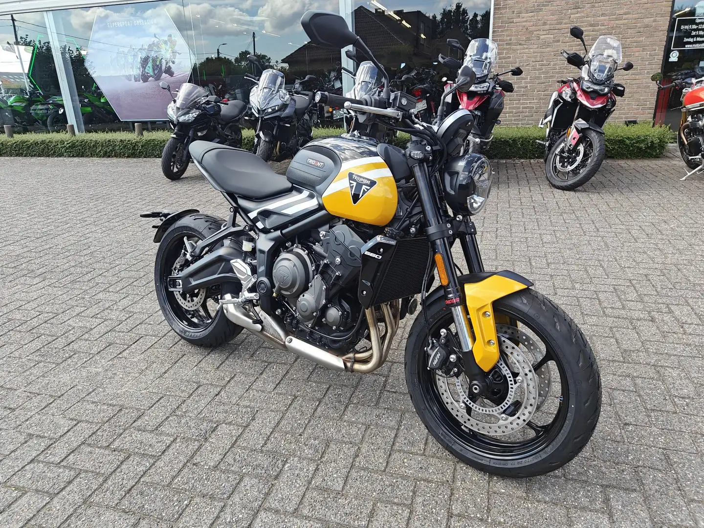 Triumph Trident 660 Geel - 1