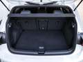 Volkswagen Golf VIII 1.5 eTSI R-Line AHK Kamera IQ.Light Na Weiß - thumbnail 15