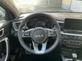 Kia Ceed SW / cee'd SW Sportswagon Spin Navi. Klima Einparkhilfe Tempo... Gris - thumbnail 17