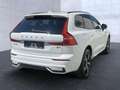 Volvo XC60 XC 60 R Design 2WD Bluetooth Head Up Display Navi Weiß - thumbnail 4