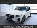 Volvo XC60 XC 60 R Design 2WD Bluetooth Head Up Display Navi Weiß - thumbnail 1