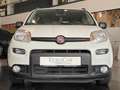 Fiat Panda 1.0 City Life 4x2 UConnect Klima PDC DAB+ White - thumbnail 5