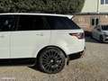 Land Rover Range Rover Sport 3.0 TDV6 258CH HSE MARK VI Garantie 5 ans Weiß - thumbnail 6