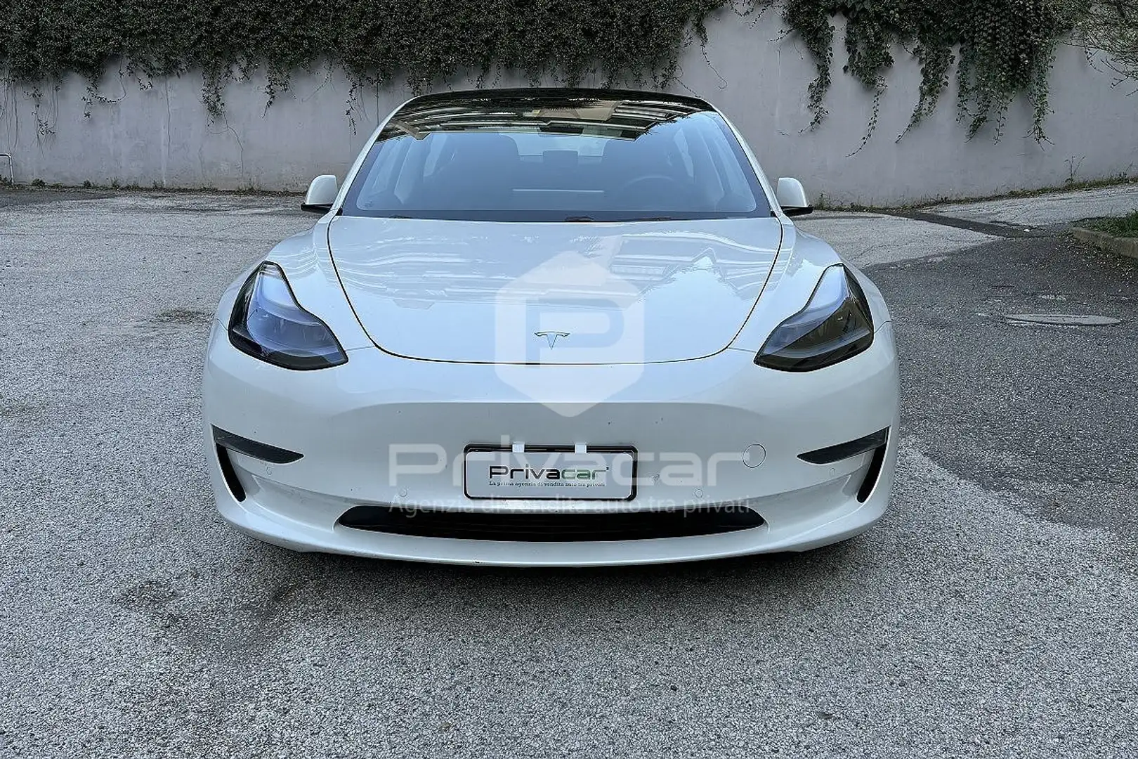 Tesla Model 3 Model 3 Long Range Dual Motor AWD Bianco - 2